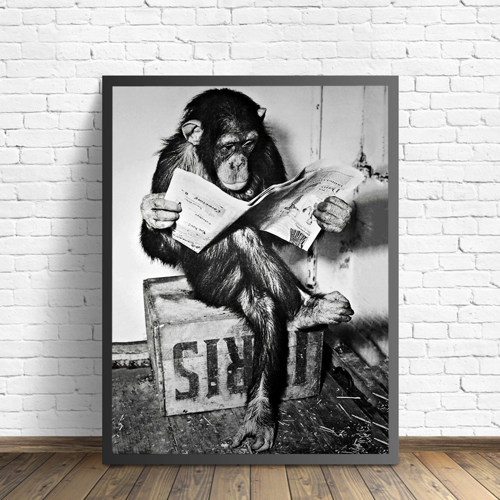 Monkey Poster