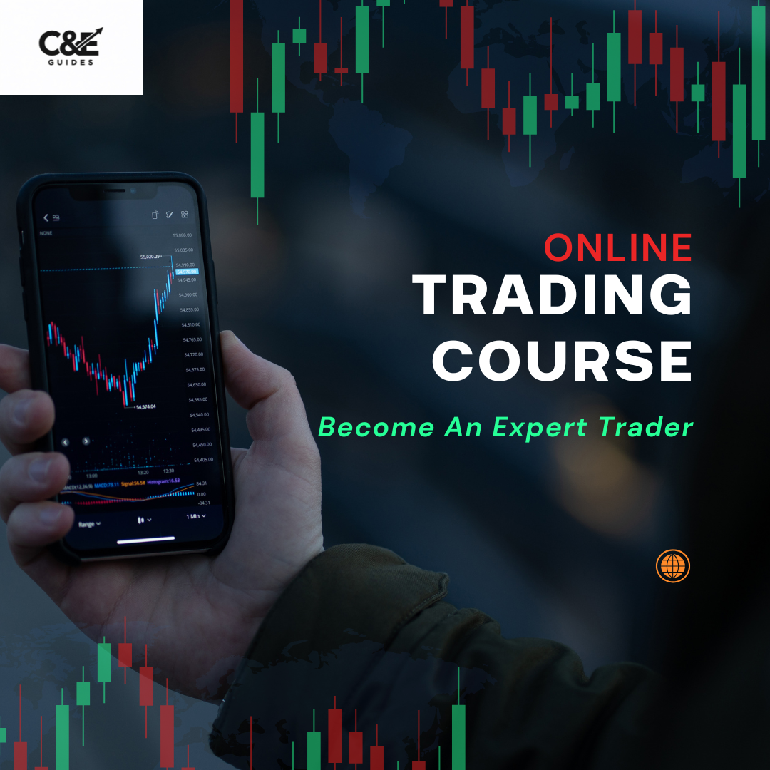 The beginner trading survival guide